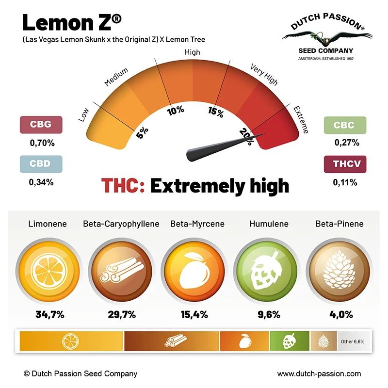 Lemon Z cannabinoid and terpene profile