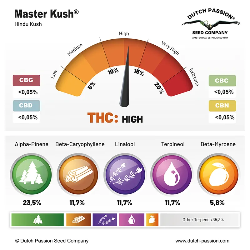 Master Kush cannabinoids and terpenes