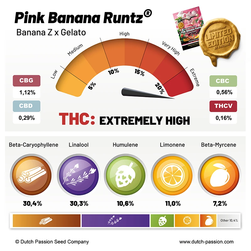 Pink Banana Runtz cannabinoids and terpenes