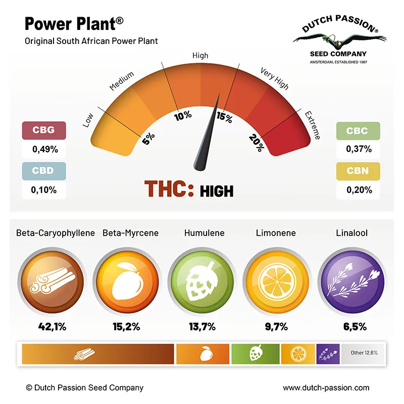 Power Plant cannabinoids and terpenes