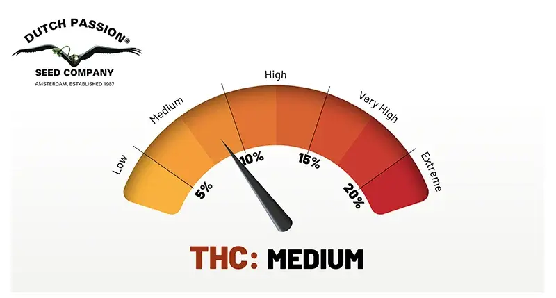 Shaman medium THC levels (5-10%)