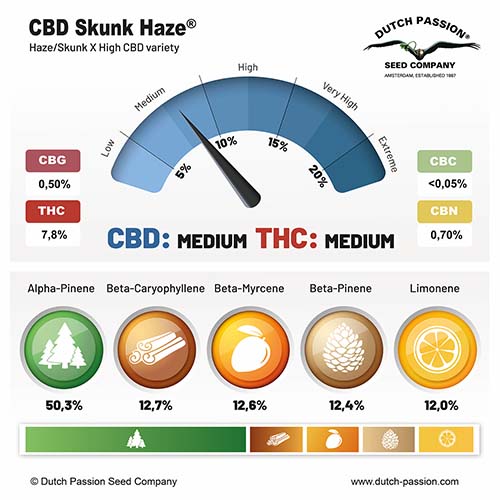 CBD Skunk Haze cannabinoid and terpene profile