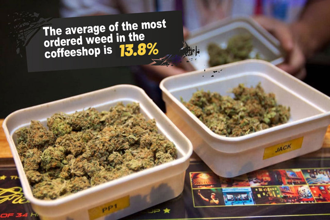 Average THC level of the moest ordered weed in Dutch coffeeshops