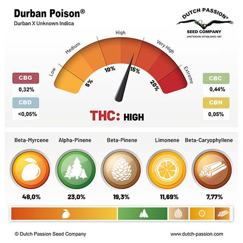 Durban Poison cannabinoid and terpene profile