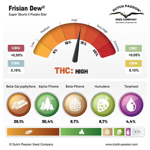 Frisian Dew cannabinoid and terpene profile