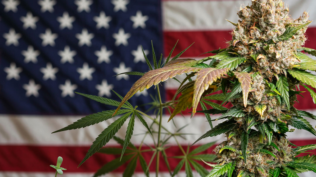 Home growing in the USA