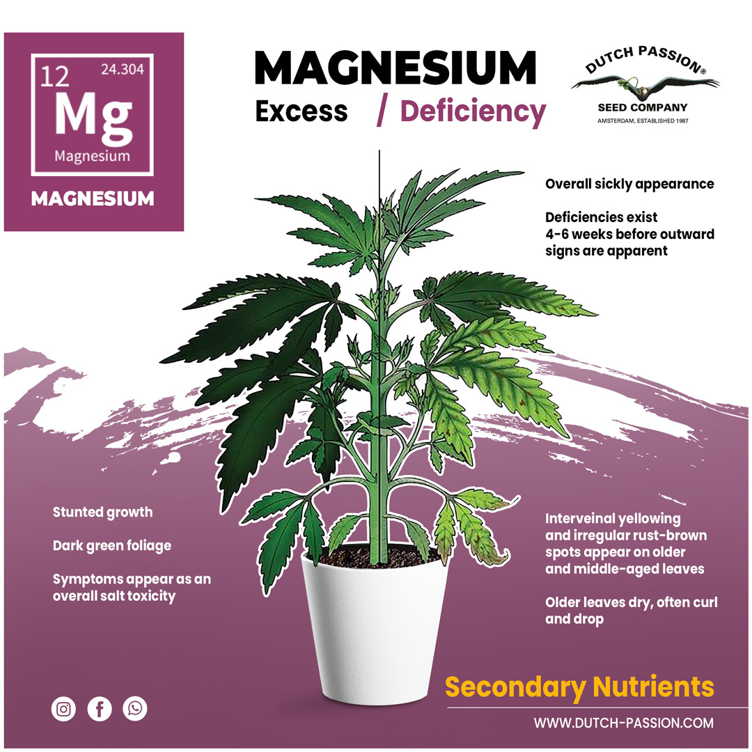 Magnesium deficiency in cannabis