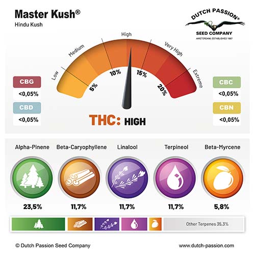 Master Kush cannabinoid and terpene profile