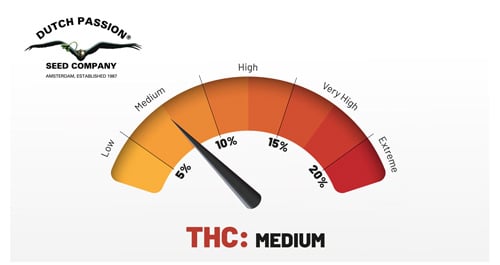 Frisian Duck cannabinoid profile