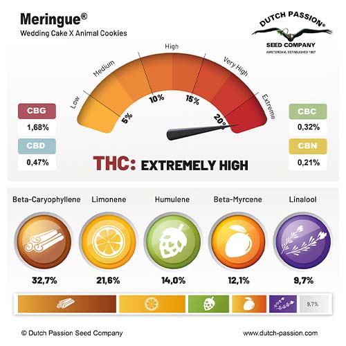 Meringue cannabinoid and terpene profile