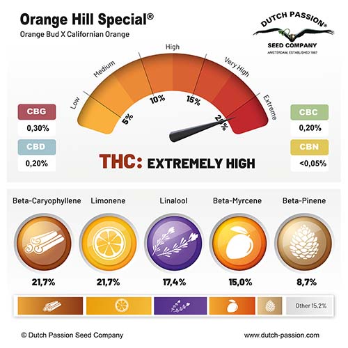 Orange Hill Special cannabinoids and terpenes profile