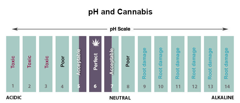 pH and cannabis