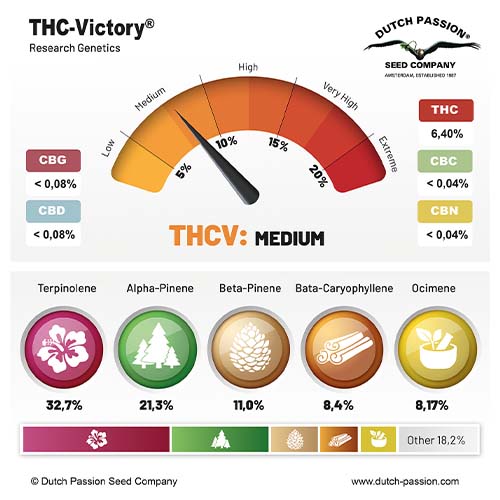 THC-Victory cannabinoid and terpene profile